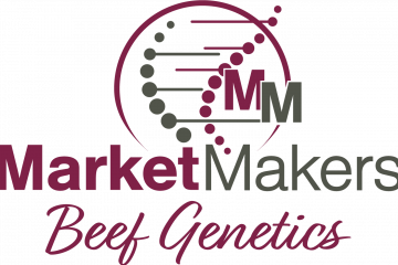 Certificate GAR Logic • 21043321