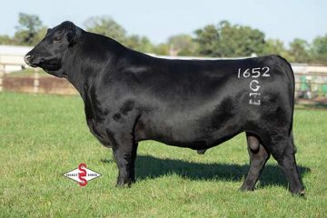 GAR Powercat • 20665222