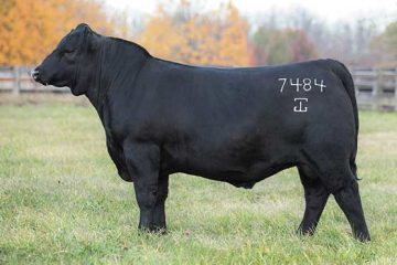 GAR Diligent • 21183239